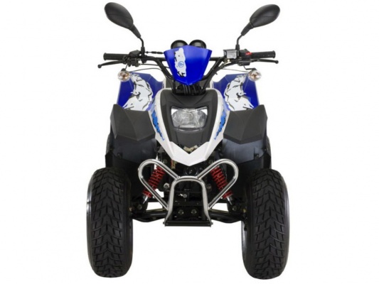 Фото квадроцикла Stels ATV 50C
